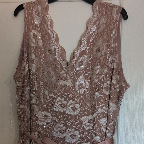 Chic Floral Lace Maxi Dress in Blush NWOT - Picture 2 of 9